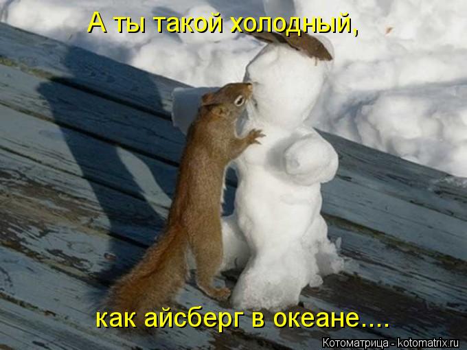 Котоматрица: А ты такой холодный, как айсберг в океане....