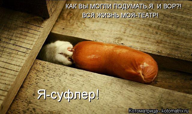 Котоматрица: КАК ВЫ МОГЛИ ПОДУМАТЬ,Я  И ВОР?! ВСЯ ЖИЗНЬ МОЯ-ТЕАТР! Я-суфлер!
