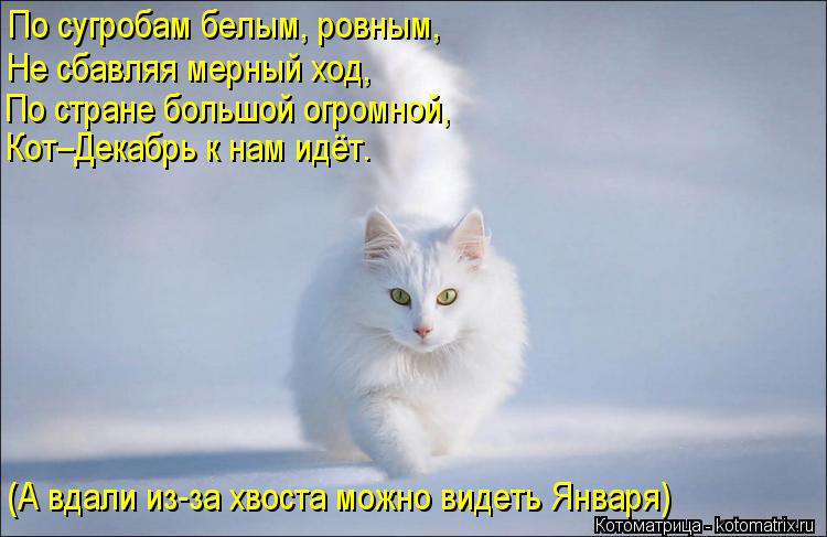 По сугробам белым, ровным, Не сбавляя мерный ход, По стране большой огромной, Кот–Декабрь к нам идёт.... Котоматрица: По сугробам белым, ровным, Не сбавляя мерный ход, По стране большой огромной, Кот–Декабрь к нам идёт. (А вдали из-за хвоста можно видеть Янва