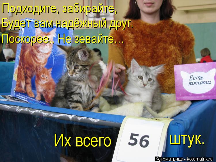 Подходите, забирайте, Будет вам надёжный друг. Поскорее.. Не зевайте… штук. Их всего... Котоматрица: Подходите, забирайте, Будет вам надёжный друг. Поскорее.. Не зевайте… штук. Их всего