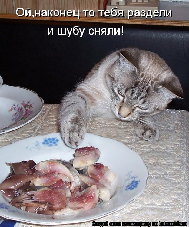 Котоматрица: Ой,наконец то тебя раздели и шубу сняли!
