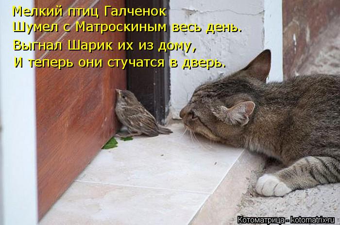 Котоматрица: Мелкий птиц Галченок Шумел с Матроскиным весь день. Выгнал Шарик их из дому, И теперь они стучатся в дверь.