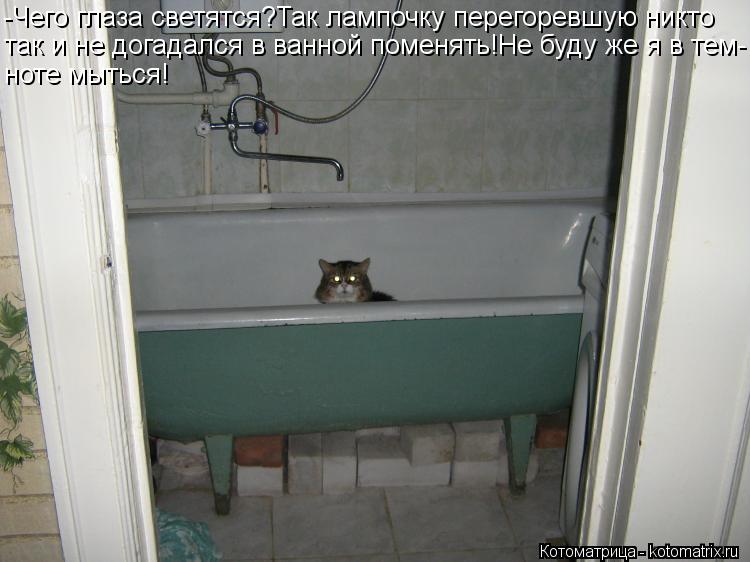 Котоматрица: -Чего глаза светятся?Так лампочку перегоревшую никто так и не догадался в ванной поменять!Не буду же я в тем- ноте мыться!