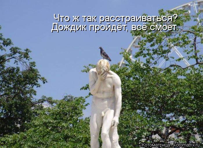 Котоматрица: Что ж так расстраиваться? Дождик пройдёт, всё смоет.