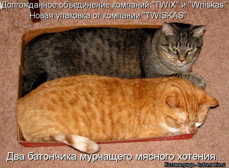 Долгожданное объединение компаний "TWIX" и "Whiskas" Новая упаковка от компании "TWISKAS" Два батонч... Котоматрица: Долгожданное объединение компаний "TWIX" и "Whiskas" Новая упаковка от компании "TWISKAS" Два батончика мурчащего мясного хотения...