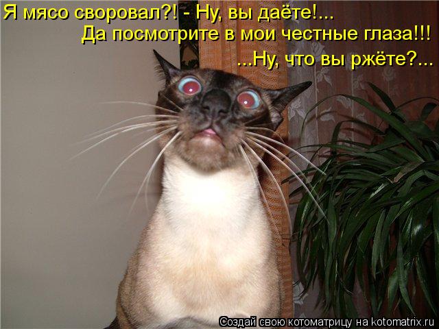 Котоматрица: Я мясо своровал?! - Ну, вы даёте!... Да посмотрите в мои честные глаза!!! ...Ну, что вы ржёте?...