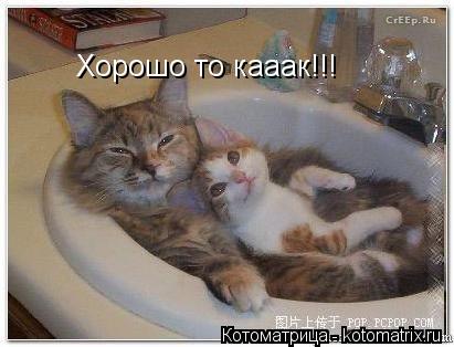 Котоматрица: Хорошо то кааак!!!