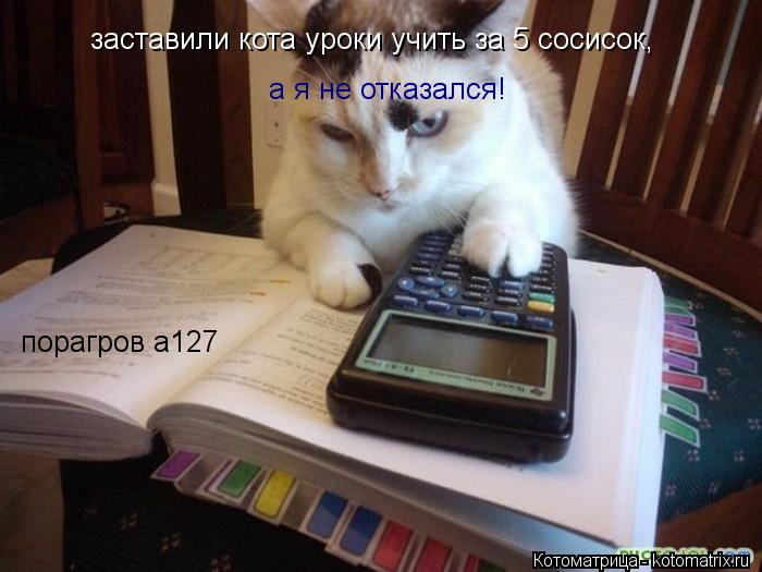 Котоматрица: заставили кота уроки учить за 5 сосисок,  а я не отказался! порагров а127