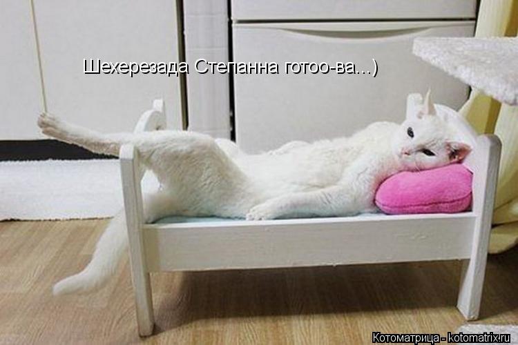 Котоматрица: Шехерезада Степанна готоо-ва...)