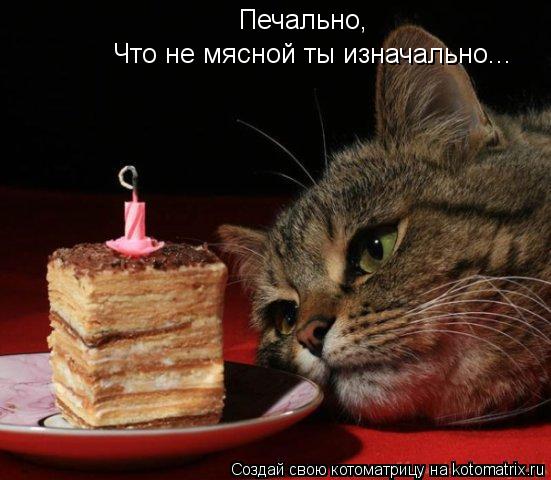 Печально, Что не мясной ты изначально...... Котоматрица: Печально, Что не мясной ты изначально...