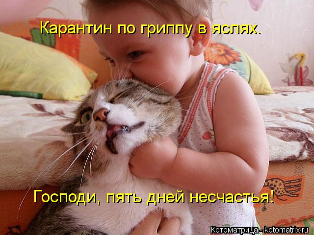 Карантин по гриппу в яслях. Господи, пять дней несчастья!... Котоматрица: Карантин по гриппу в яслях. Господи, пять дней несчастья!