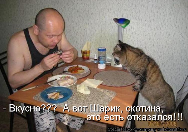 Котоматрица: - Вкусно???  А вот Шарик, скотина,  это есть отказался!!!