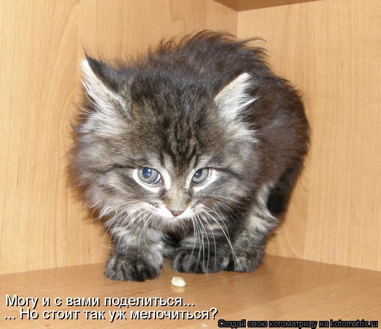 Котоматрица: Могу и с вами поделиться... ... Но стоит так уж мелочиться?