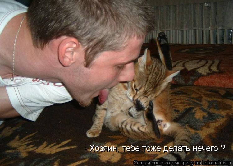 Котоматрица: - Хозяин, тебе тоже делать нечего ?
