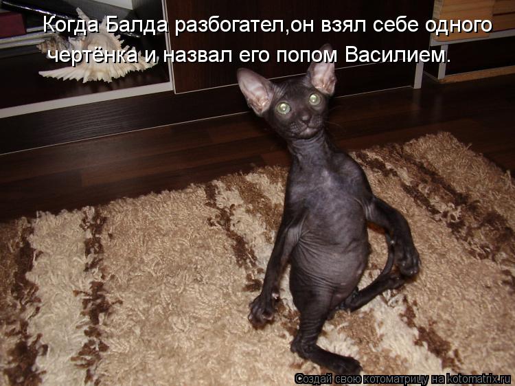 Когда Балда разбогател,он взял себе одного чертёнка и назвал его попом Василием.... Котоматрица: Когда Балда разбогател,он взял себе одного чертёнка и назвал его попом Василием.