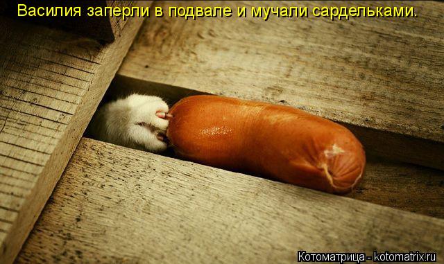 Котоматрица: Василия заперли в подвале и мучали сардельками.