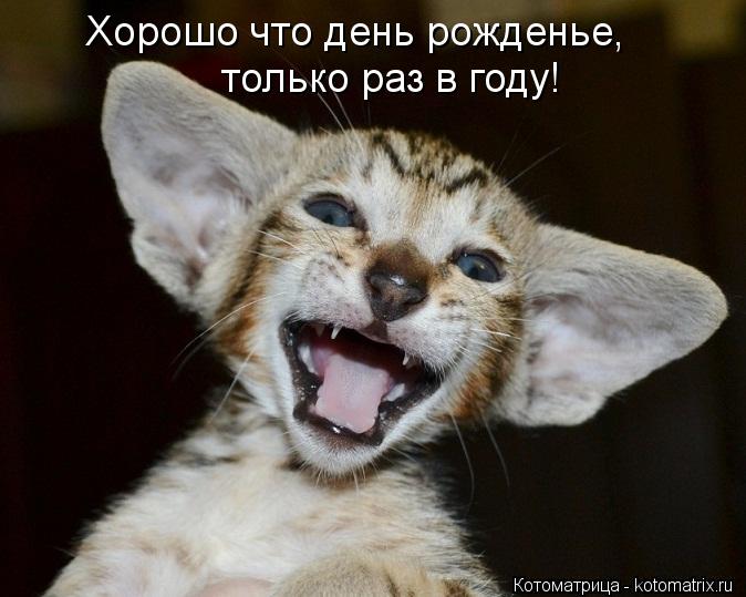 Хорошо что день рожденье, только раз в году!... Котоматрица: Хорошо что день рожденье, только раз в году!