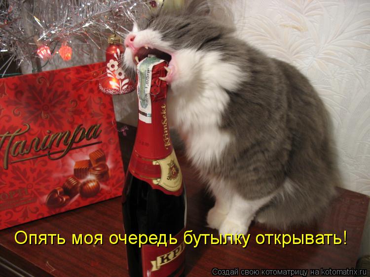 Опять моя очередь бутылку открывать!... Котоматрица: Опять моя очередь бутылку открывать!