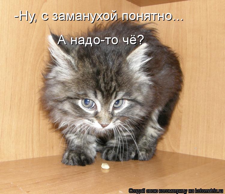 Котоматрица: -Ну, с заманухой понятно... А надо-то чё?