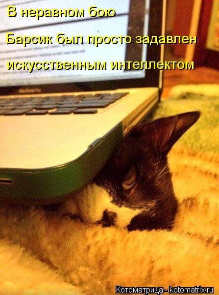 искусственным интеллектом Барсик был просто задавлен В неравном бою... Котоматрица: искусственным интеллектом Барсик был просто задавлен В неравном бою