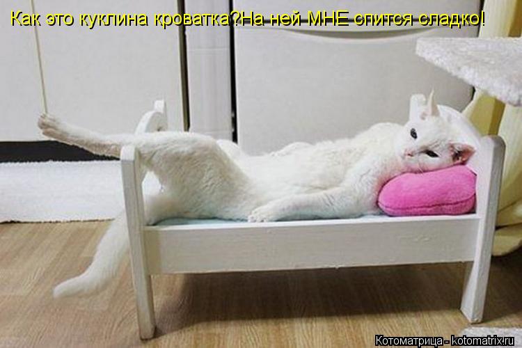 Котоматрица: Как это куклина кроватка?На ней МНЕ спится сладко!