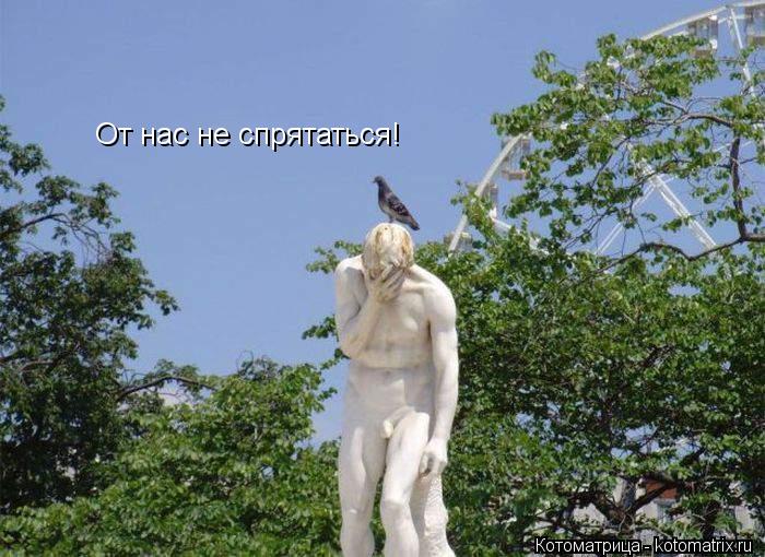 От нас не спрятаться!... Котоматрица: От нас не спрятаться!
