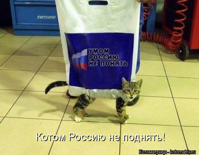 Котом Россию не поднять!... Котоматрица: Котом Россию не поднять!