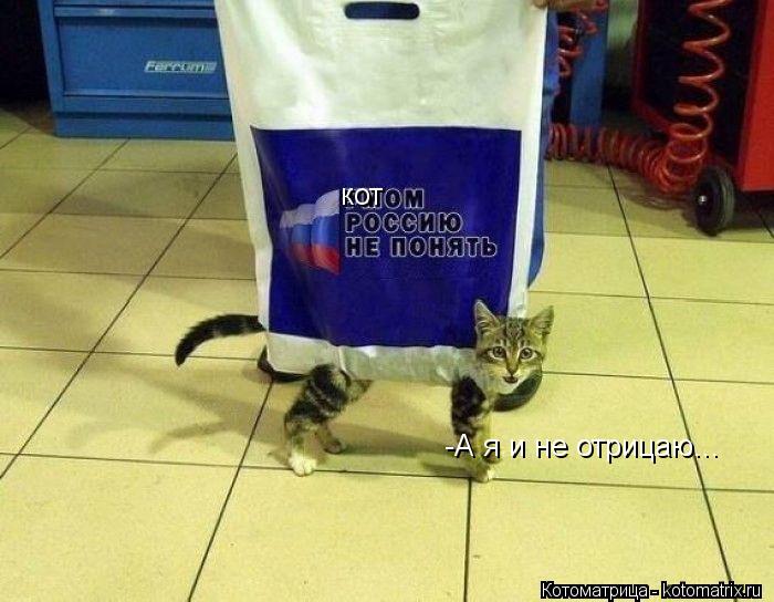 кот -А я и не отрицаю...... Котоматрица: кот -А я и не отрицаю...