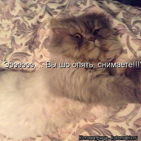 Эээээээ.... Вы шо опять, снимаете!!!??... Котоматрица: Эээээээ.... Вы шо опять, снимаете!!!??