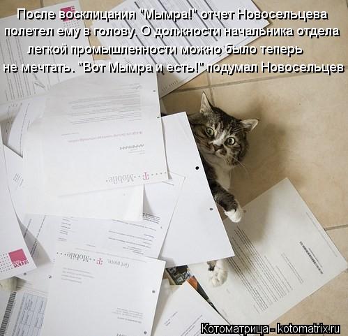 После восклицания "Мымра!" отчет Новосельцева полетел ему в голову. О должности начальника отдела лег... Котоматрица: После восклицания "Мымра!" отчет Новосельцева полетел ему в голову. О должности начальника отдела легкой промышленности можно было теперь