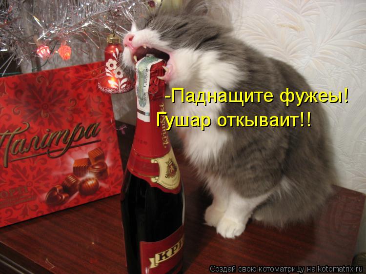 -Паднащите фужеы! Гушар откываит!!... Котоматрица: -Паднащите фужеы! Гушар откываит!!