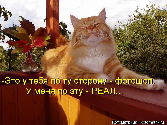 -Это у тебя по ту сторону - фотошоп. У меня по эту - РЕАЛ...... Котоматрица: -Это у тебя по ту сторону - фотошоп. У меня по эту - РЕАЛ...