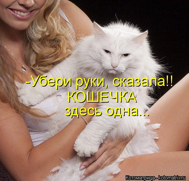 КОШЕЧКА здесь одна... -Убери руки, сказала!!... Котоматрица: КОШЕЧКА здесь одна... -Убери руки, сказала!!