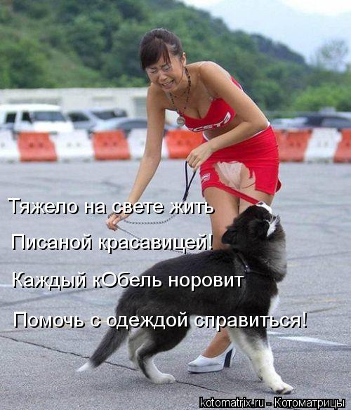 Тяжело на свете жить Писаной красавицей! Каждый кОбель норовит Помочь с одеждой справиться!... Котоматрица: Тяжело на свете жить Писаной красавицей! Каждый кОбель норовит Помочь с одеждой справиться!