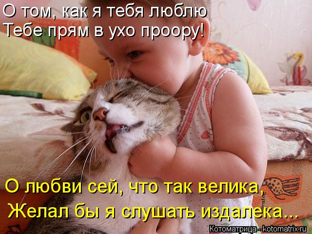 О том, как я тебя люблю Тебе прям в ухо проору! О любви сей, что так велика, Желал бы я слушать издал... Котоматрица: О том, как я тебя люблю Тебе прям в ухо проору! О любви сей, что так велика, Желал бы я слушать издалека...