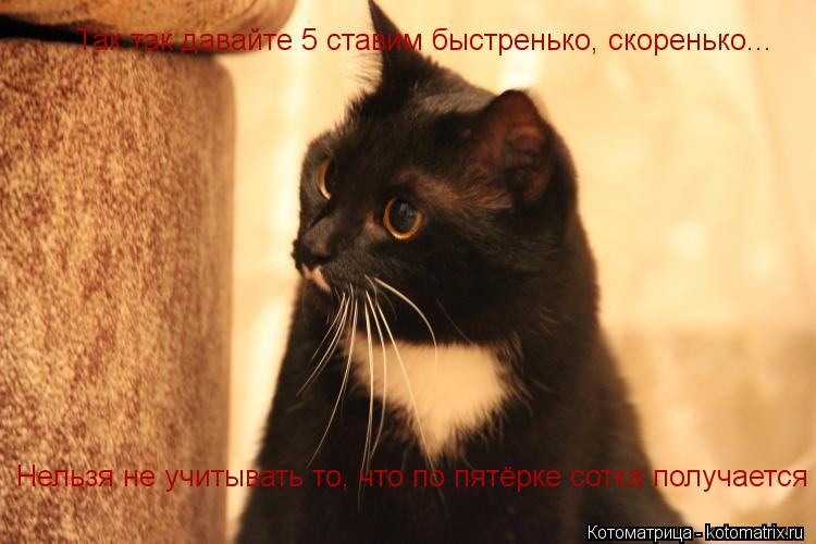 Котоматрица: Так так давайте 5 ставим быстренько, скоренько... Нельзя не учитывать то, что по пятёрке сотка получается