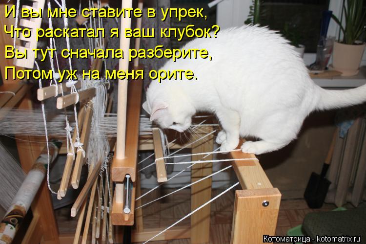 Котоматрица: И вы мне ставите в упрек, Что раскатал я ваш клубок? Вы тут сначала разберите, Потом уж на меня орите.