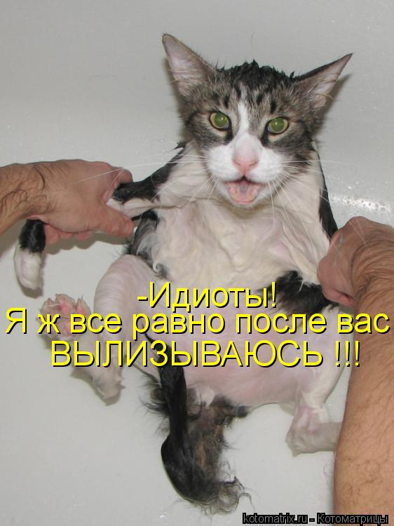 -Идиоты! Я ж все равно после вас ВЫЛИЗЫВАЮСЬ !!!... Котоматрица: -Идиоты! Я ж все равно после вас ВЫЛИЗЫВАЮСЬ !!!