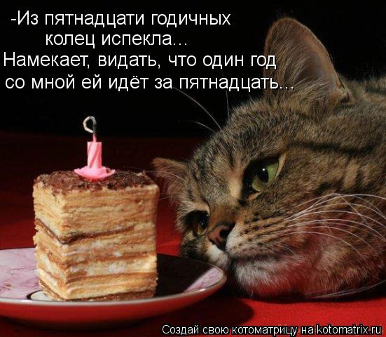 Котоматрица: -Из пятнадцати годичных колец испекла... Намекает, видать, что один год со мной ей идёт за пятнадцать...