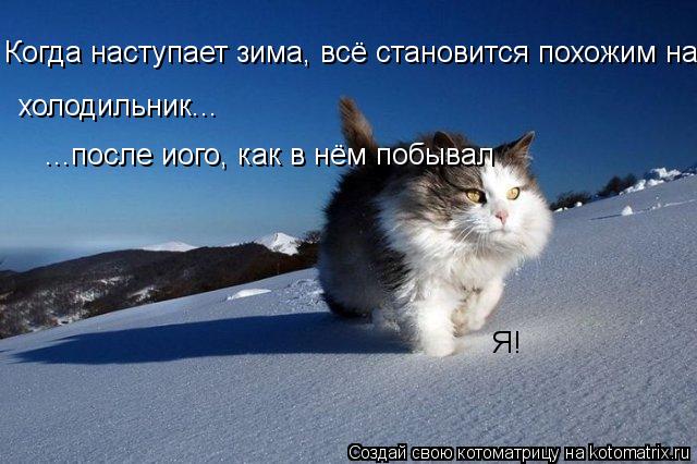 Когда наступает зима, всё становится похожим на холодильник... холодильник... ...после иого, как в нё... Котоматрица: Когда наступает зима, всё становится похожим на холодильник... холодильник... ...после иого, как в нём побывал Я!
