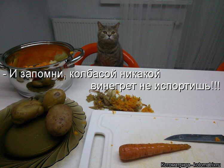 Котоматрица: - И запомни, колбасой никакой  винегрет не испортишь!!!