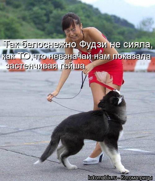 Котоматрица: Так белоснежно Фудзи не сияла, застенчивая гейша как ТО,что невзначай нам показала