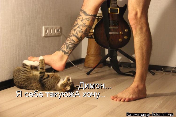 -Димон... Я себе такуюжА хочу...... Котоматрица: -Димон... Я себе такуюжА хочу...