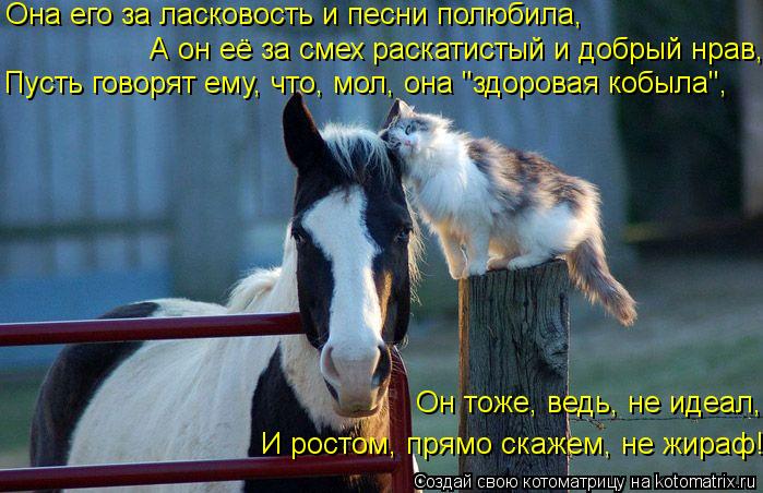 Она его за ласковость и песни полюбила, А он её за смех раскатистый и добрый нрав, Он тоже, ведь, не ... Котоматрица: Она его за ласковость и песни полюбила, А он её за смех раскатистый и добрый нрав, Он тоже, ведь, не идеал, Пусть говорят ему, что, мол, она "здо