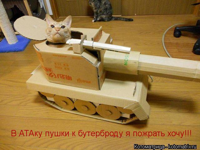 В АТАку пушки к бутерброду я пожрать хочу!!!... Котоматрица: В АТАку пушки к бутерброду я пожрать хочу!!!