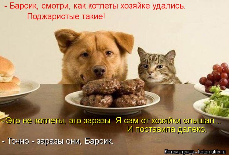 Котоматрица: - Барсик, смотри, как котлеты хозяйке удались.  Поджаристые такие! - Это не котлеты, это заразы. Я сам от хозяйки слышал... И поставила далеко. - 