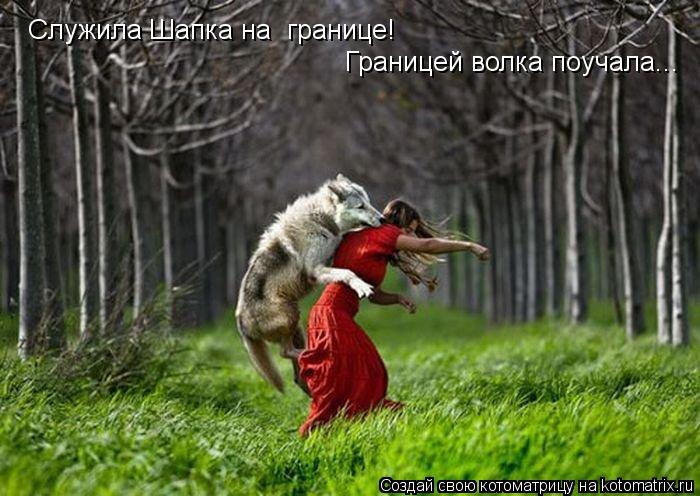 Котоматрица: Служила Шапка на  границе! Границей волка поучала...