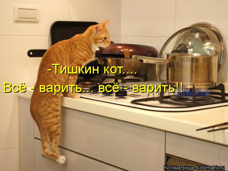 -Тишкин кот.... Всё - варить... всё - варить!!... Котоматрица: -Тишкин кот.... Всё - варить... всё - варить!!