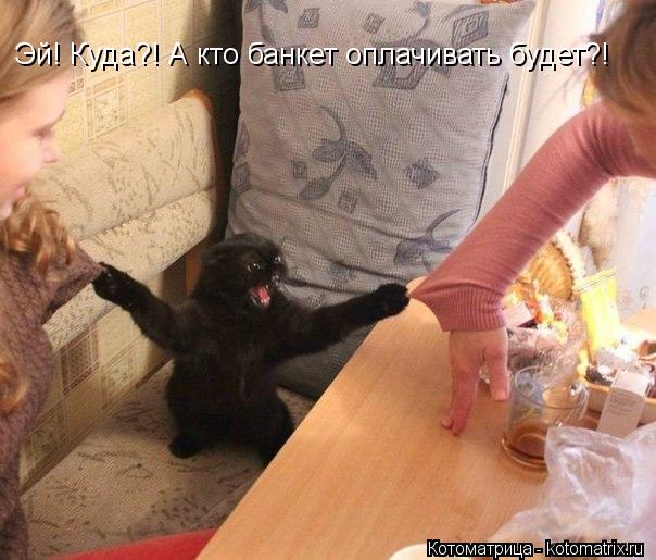 Котоматрица: Эй! Куда?! А кто банкет оплачивать будет?!