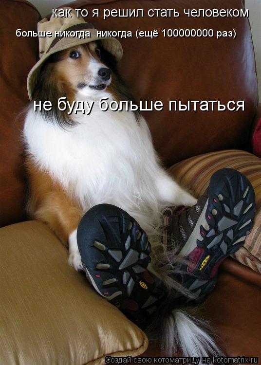 как то я решил стать человеком больше никогда никогда (ещё 100000000 раз) не буду больше пытаться... Котоматрица: как то я решил стать человеком больше никогда никогда (ещё 100000000 раз) не буду больше пытаться